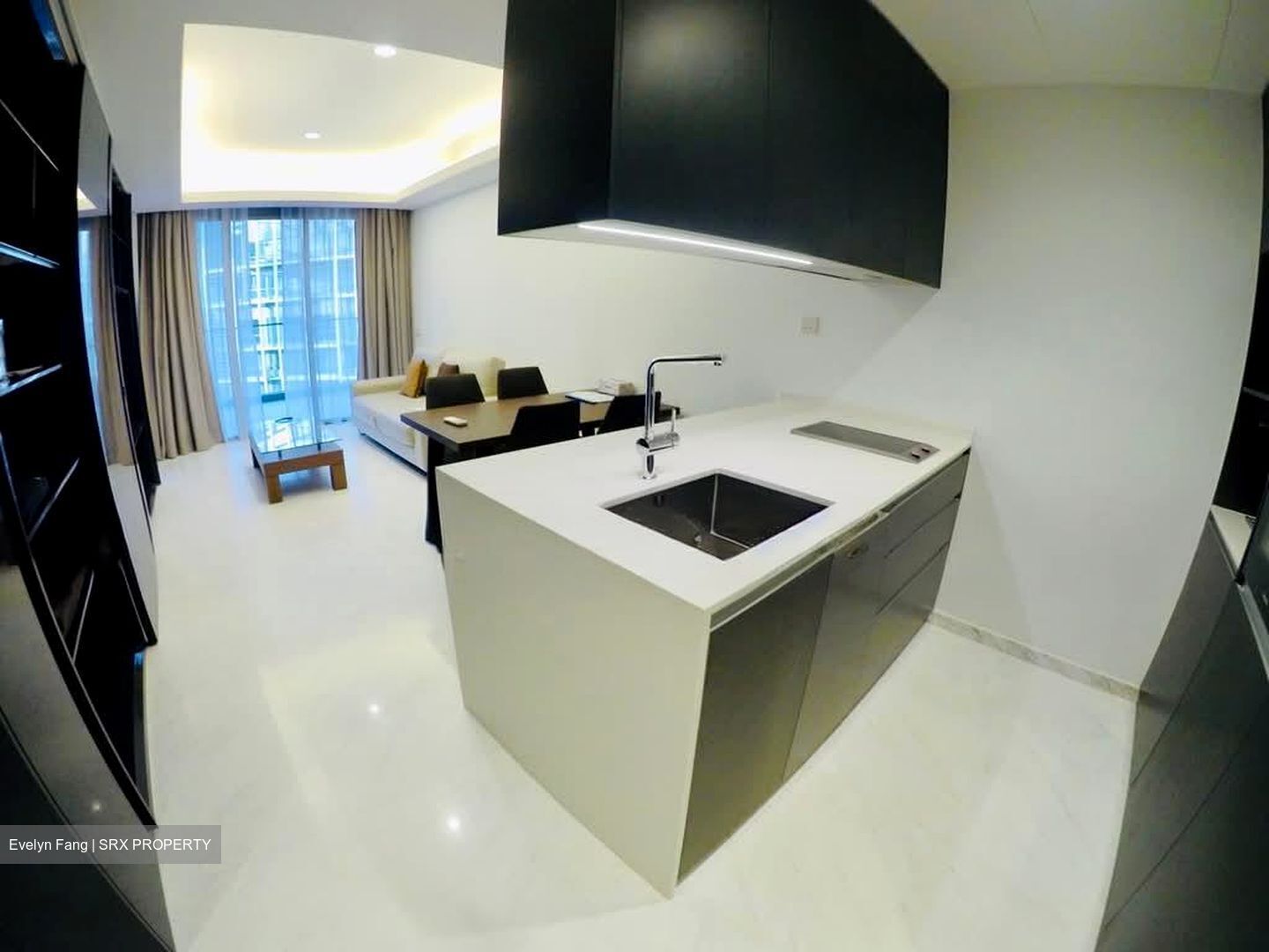 Cairnhill Nine (D9), Apartment #537817241